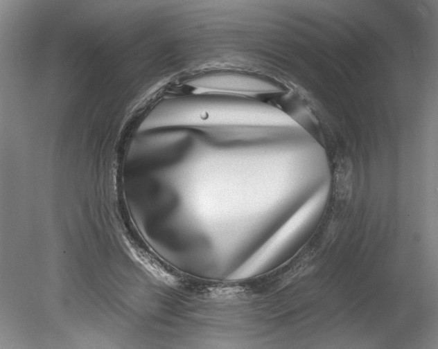 X0000080710446200701021032