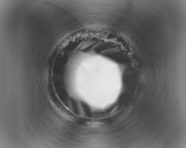 X0000080710448200701021032