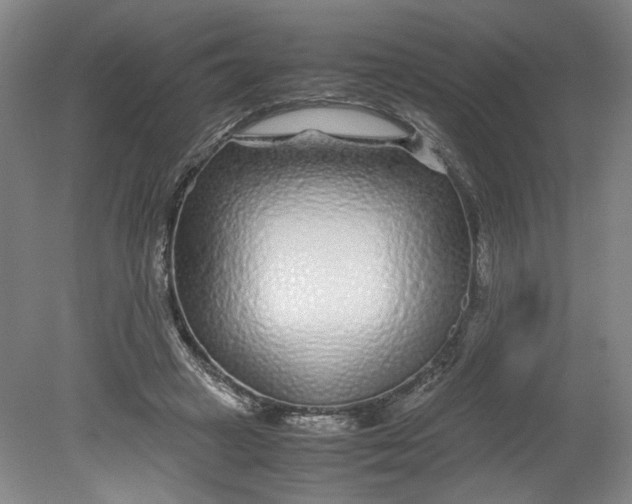 X0000080710449200701021032