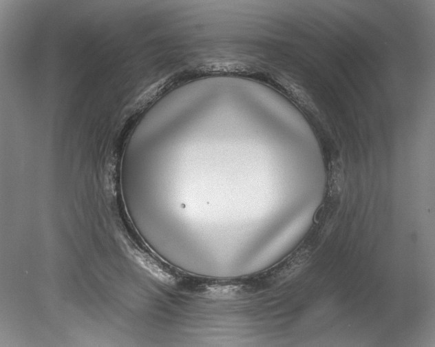 X0000080710450200701021032