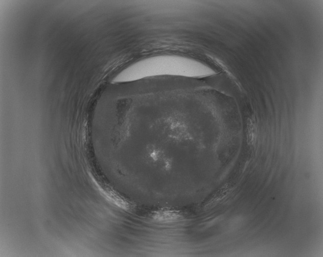 X0000080710451200701021032