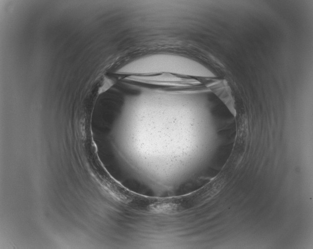 X0000080710452200701021032