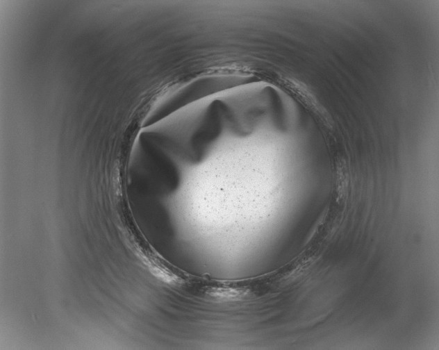 X0000080710453200701021033