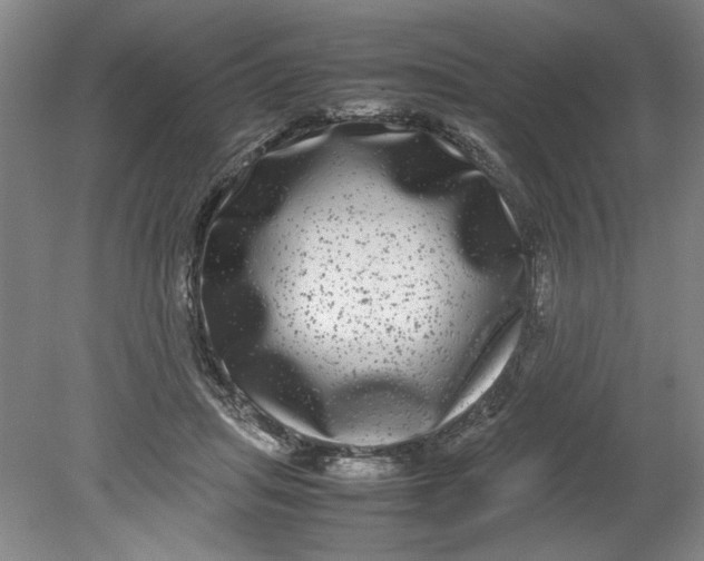 X0000080710455200701021033