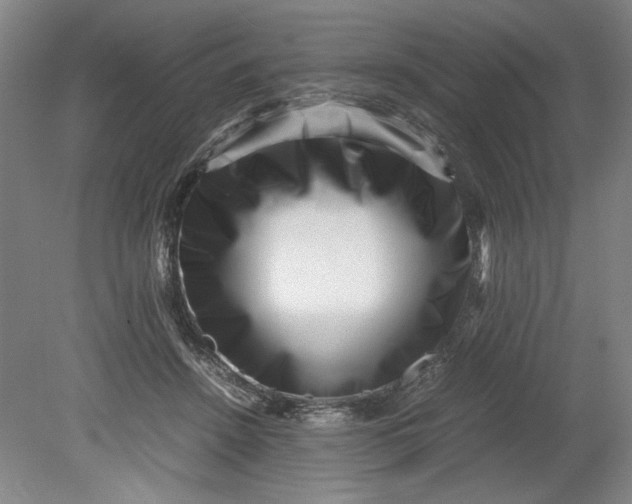 X0000080710456200701021033