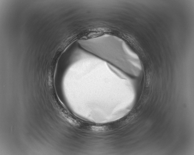 X0000080710457200701021033