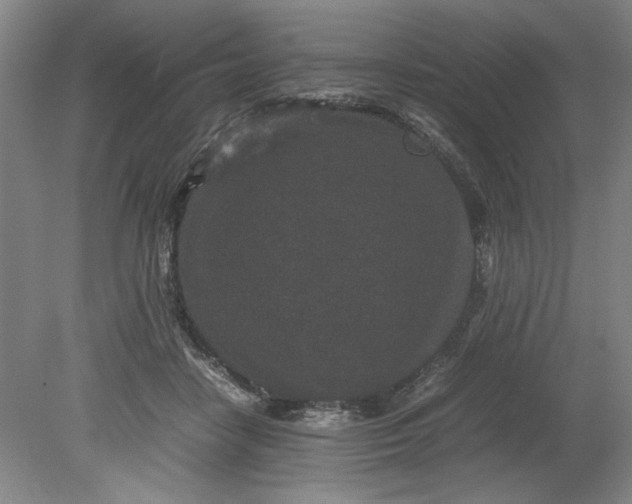 X0000080710458200701021033