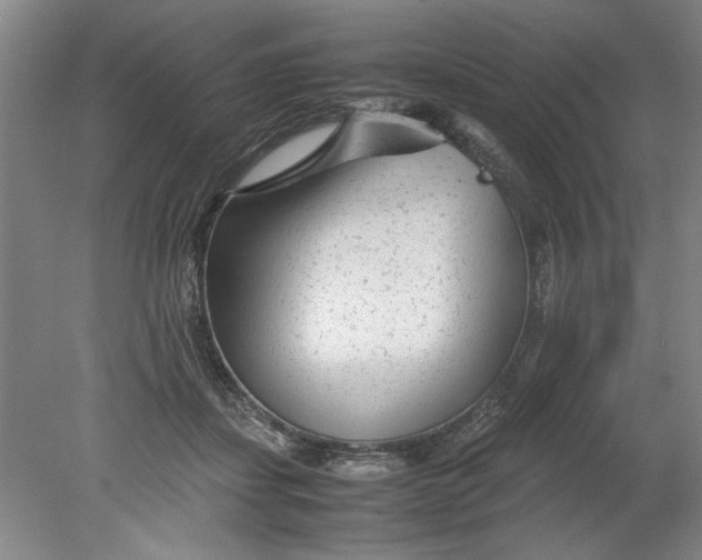 X0000080710459200701021033