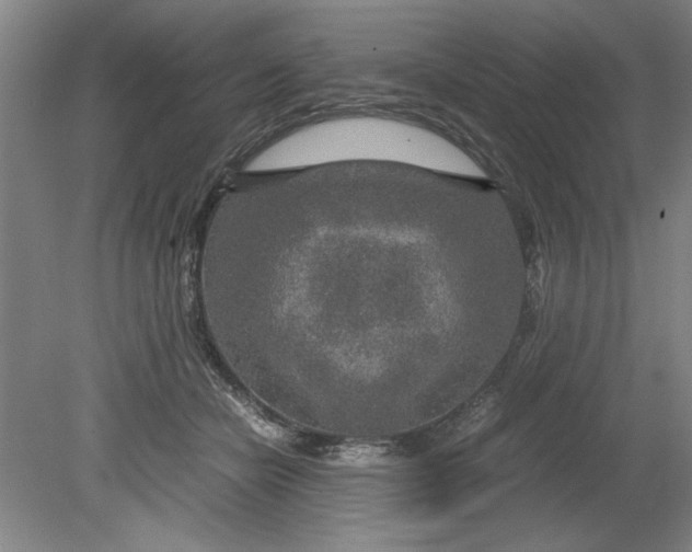 X0000080710462200701021033