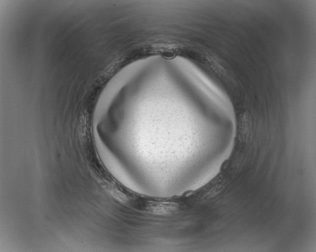 X0000080710463200701021033