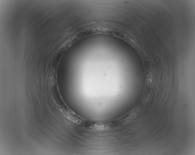 X0000080710464200701021033