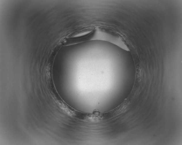 X0000080710466200701021033