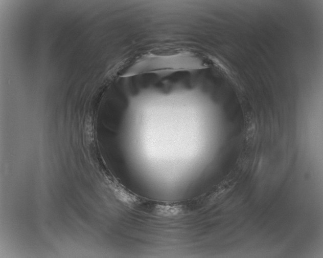 X0000080710469200701021033