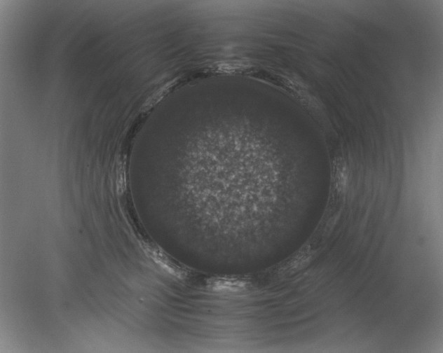 X0000080710471200701021033