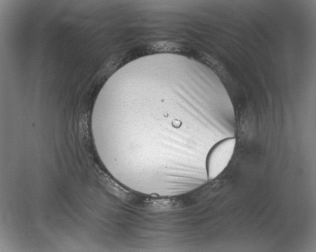 X0000080710473200701021033