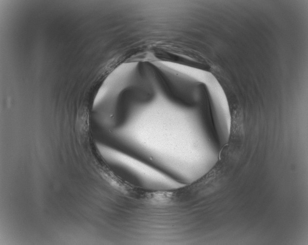 X0000080710474200701021033