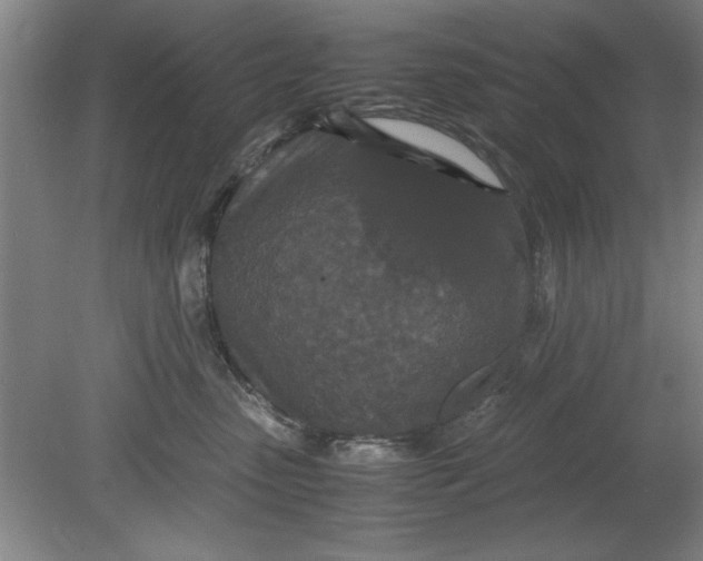 X0000080710475200701021033