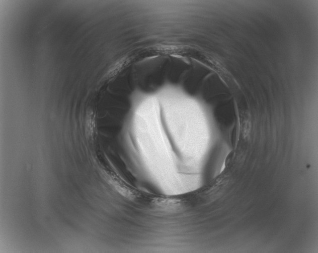 X0000080710476200701021033