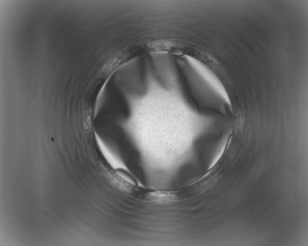 X0000080710477200701021033