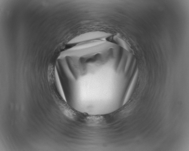 X0000080710480200701021033