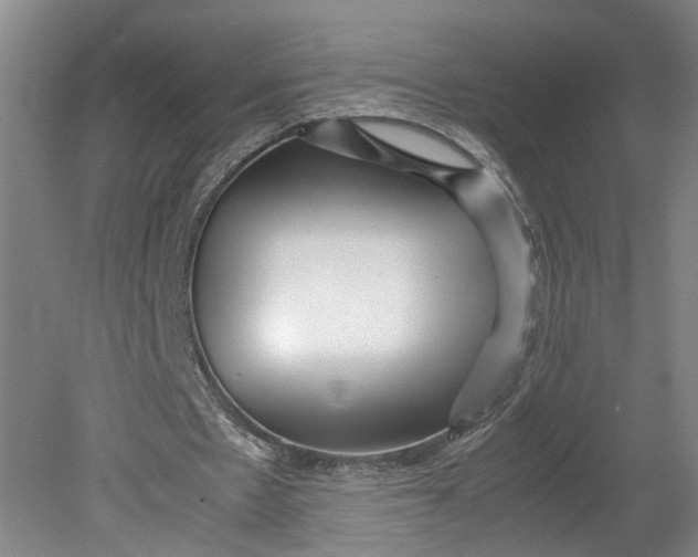 X0000080710481200701021032