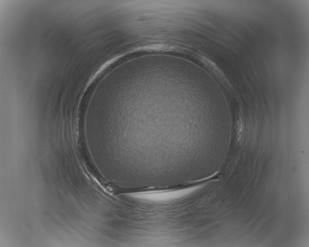 X0000080710484200701021032