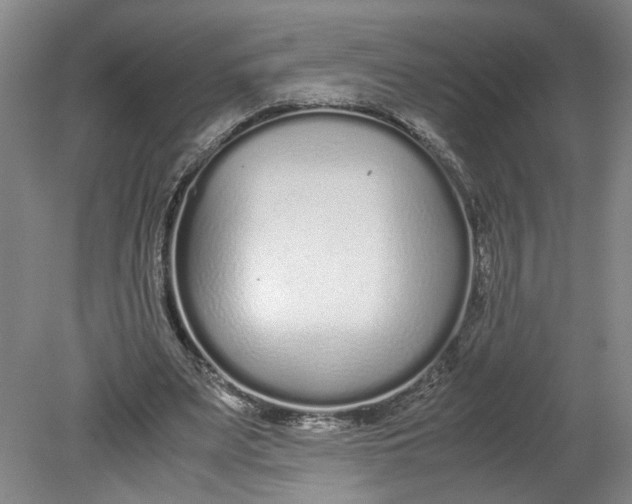 X0000080710487200701021032