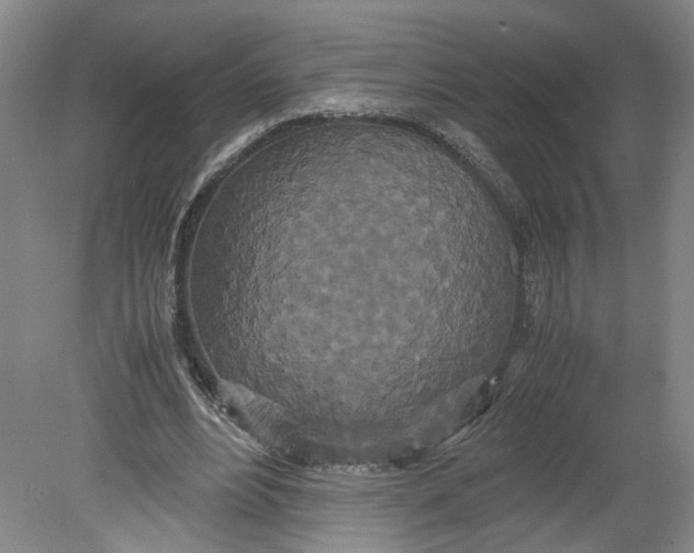 X0000080710488200701021032