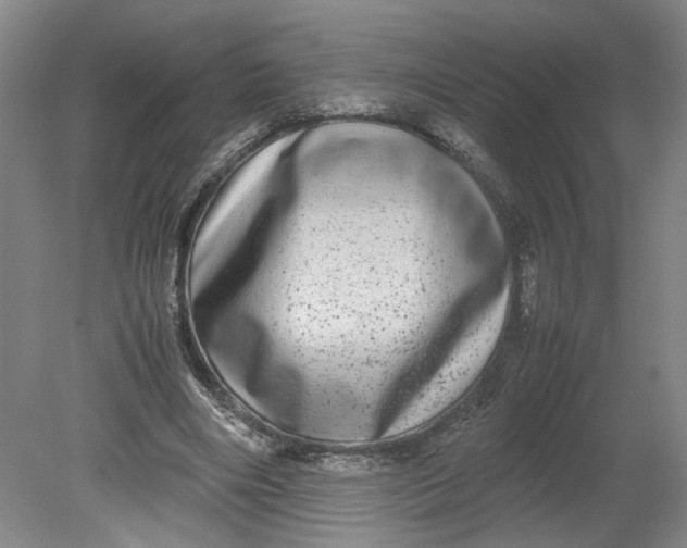 X0000080710490200701021032