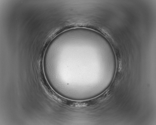 X0000080710491200701021032