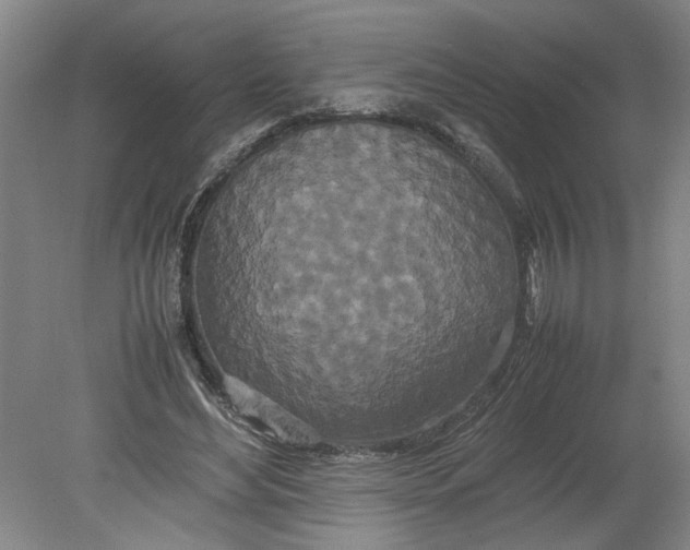 X0000080710492200701021032