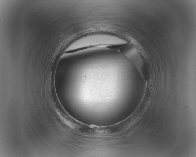 X0000080710493200701021032