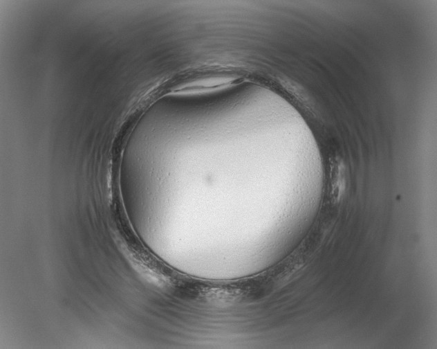 X0000080710494200701021032