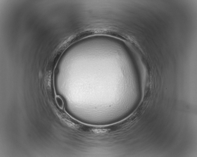 X0000080710495200701021032