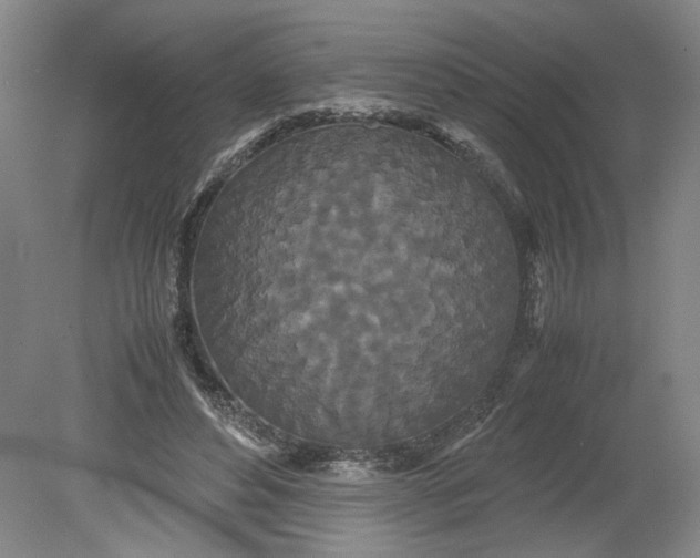 X0000080710496200701021032