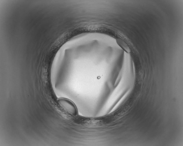 X0000080710497200701021032