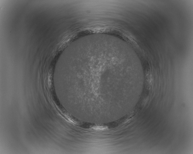 X0000080710499200701021032