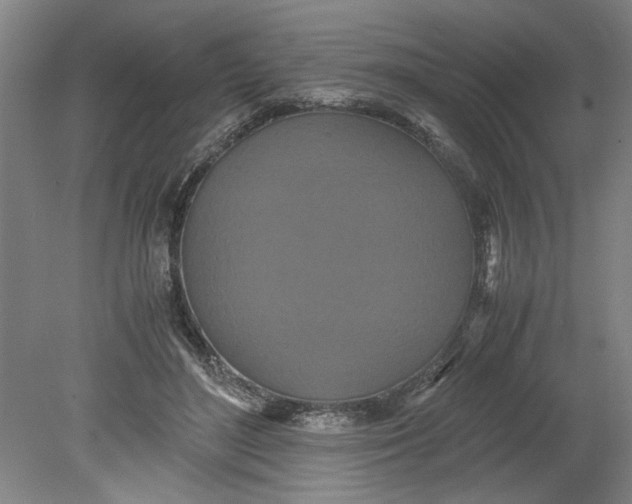 X0000080710500200701021032