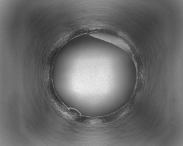 X0000080710501200701021032