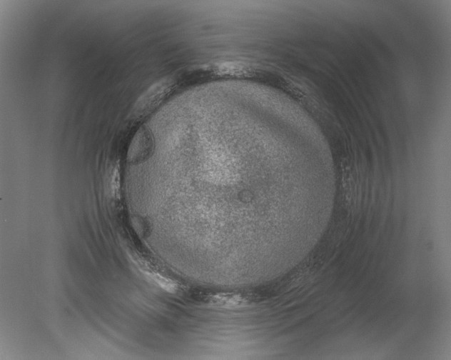 X0000080710502200701021032