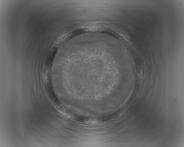 X0000080710503200701021032