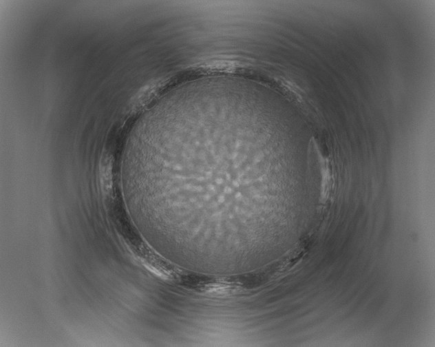 X0000080710504200701021032