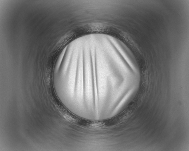 X0000080710505200701021032