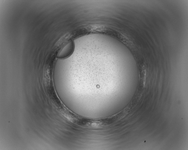 X0000080710506200701021032