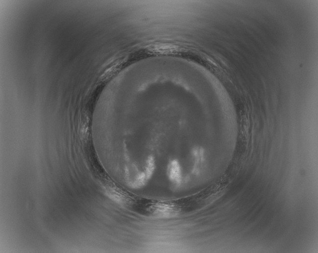 X0000080710507200701021032