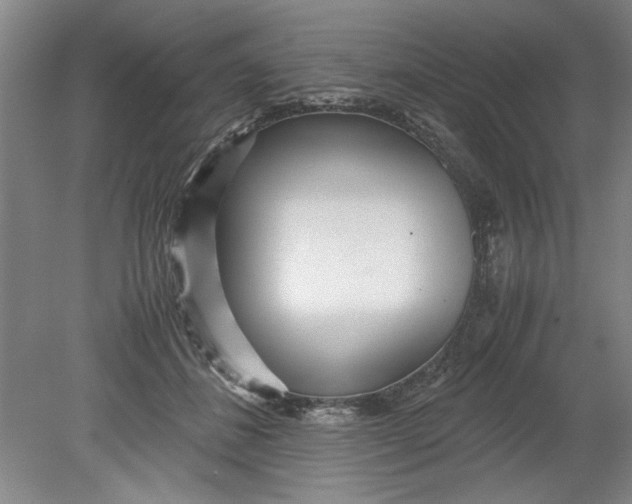 X0000080710508200701021032