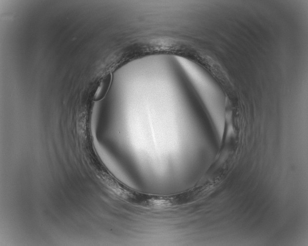 X0000080710509200701021032