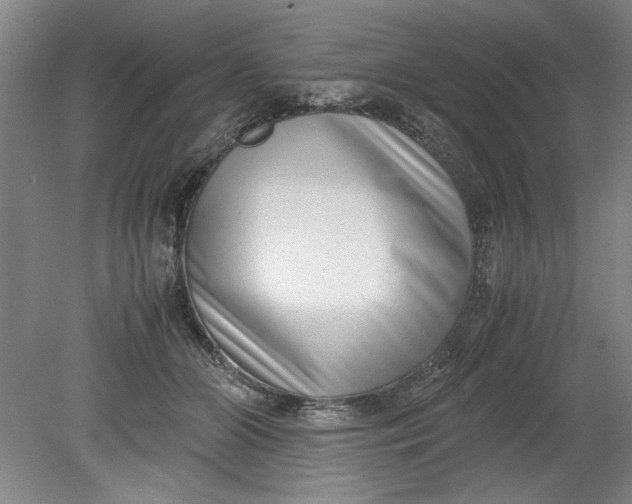 X0000080710510200701021032