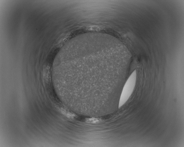 X0000080710511200701021032