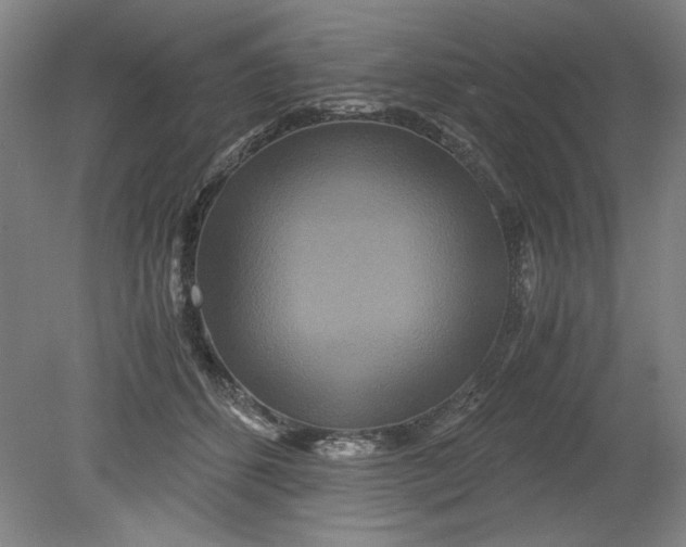 X0000080710512200701021032